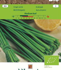Bio Pažítka Medium leaf - Allium schoenoprasum L.- bio semená - 1 g