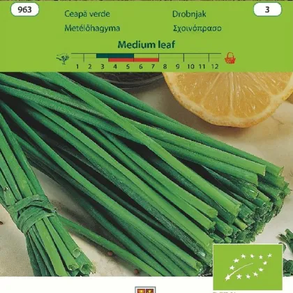 Bio Pažítka Medium leaf - Allium schoenoprasum L.- bio semená - 1 g