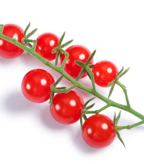 Paradajka Sweet Pea - Červená - Solanum pimpinellifolium - Osivo divokých rajčiakov - 6 ks