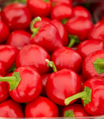 Paprika paradajková Ontara - Capsicum annuum - semienka - 40 ks