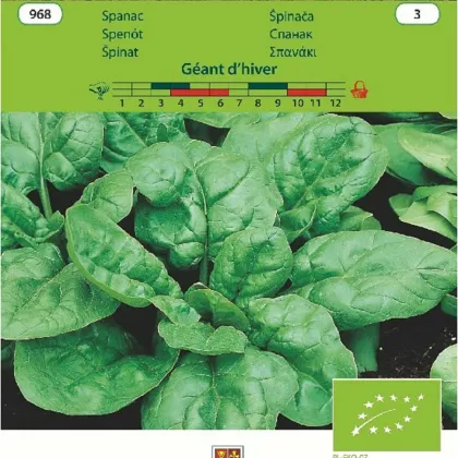 Bio Špenát Geant d'hiver - Spinacia oleracea - bio semienka - 10 g