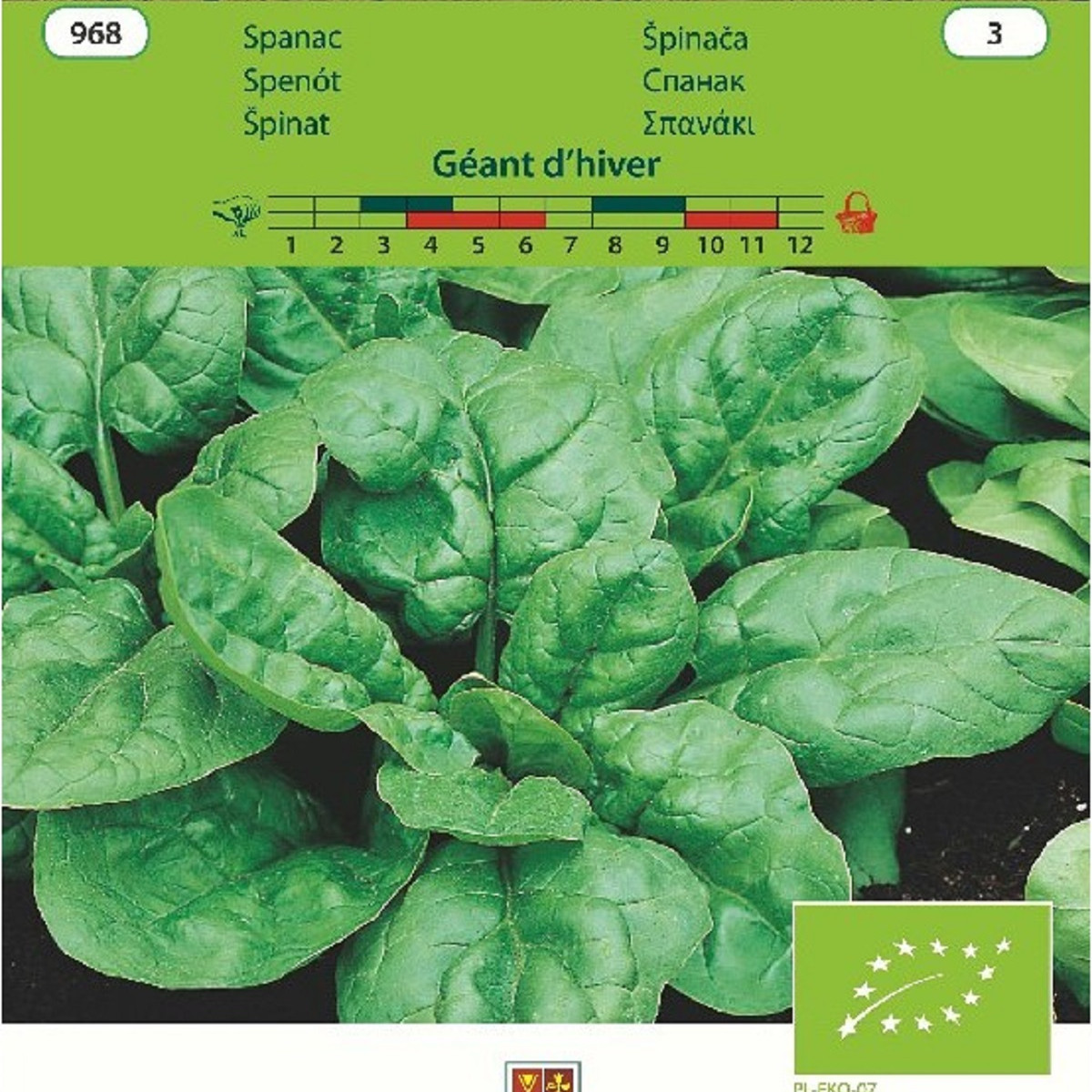 Bio Špenát Geant d'hiver - Spinacia oleracea - bio semienka - 10 g