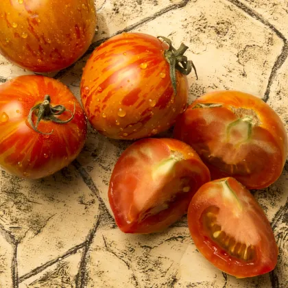 Paradajka - Červená zebra - Solanum lycopersicum - Semená rajčiaka - 6 ks