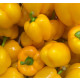 Paprika žltá Gelber Block - Capsicum annuum - predaj semien papriky - 7 ks