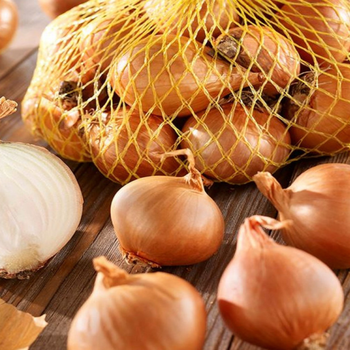 Cibuľa šalotka Golden Gourmet - Allium cepa - predaj cibule - 500 g