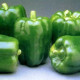 Paprika California Wonder - Capsicum annuum -semiačka - 20 ks