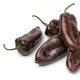 Paprika Sweet Chocolate - Capsicum annuum - predaj semien paprík - 7 ks