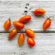 BIO Paradajka Blush - Solanum lycopersicum - predaj bio semien - 6 ks