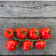 Paradajka kolíková Jahodo - Solanum lycopersicum - predaj semien - 25 ks