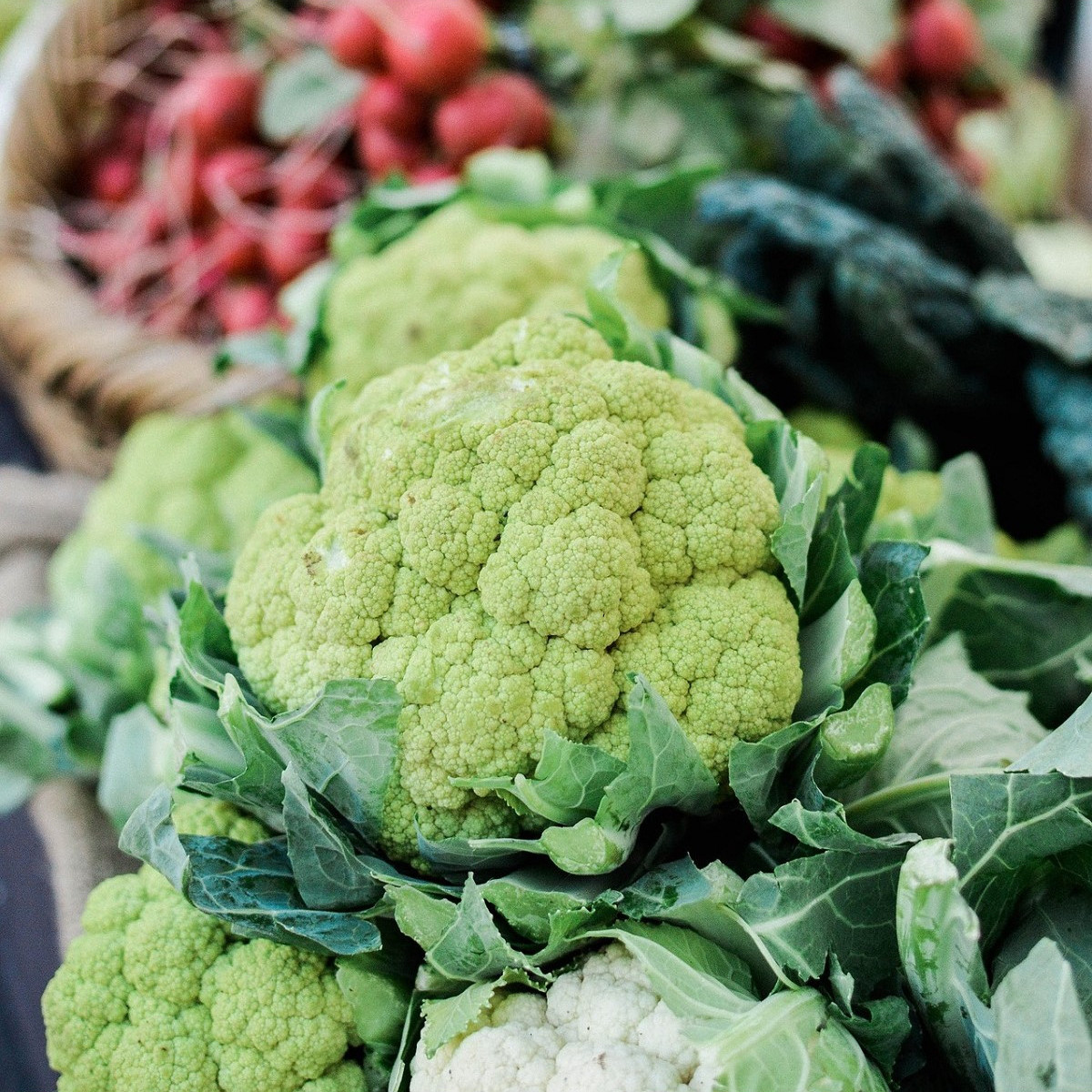 Karfiol Susana F1 - Brassica oleracea var botrytis - semená - 20 ks