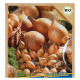 BIO cibuľa sadzačka Setton - Allium cepa - predaj bio semien  - 40 ks