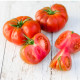 BIO Paradajka Brandywine ružová - Solanum lycopersicum - predaj bio semien - 6 ks