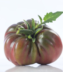 Paradajka Black Russian - Solanum lycopersicum - predaj semien - 6 ks