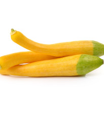 Cuketa Zephyr F1 - Cucurbita pepo - predaj semien cukety - 6 ks
