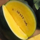 Melón Jánošík - Citrullus lanatus - predaj semien - 6 ks