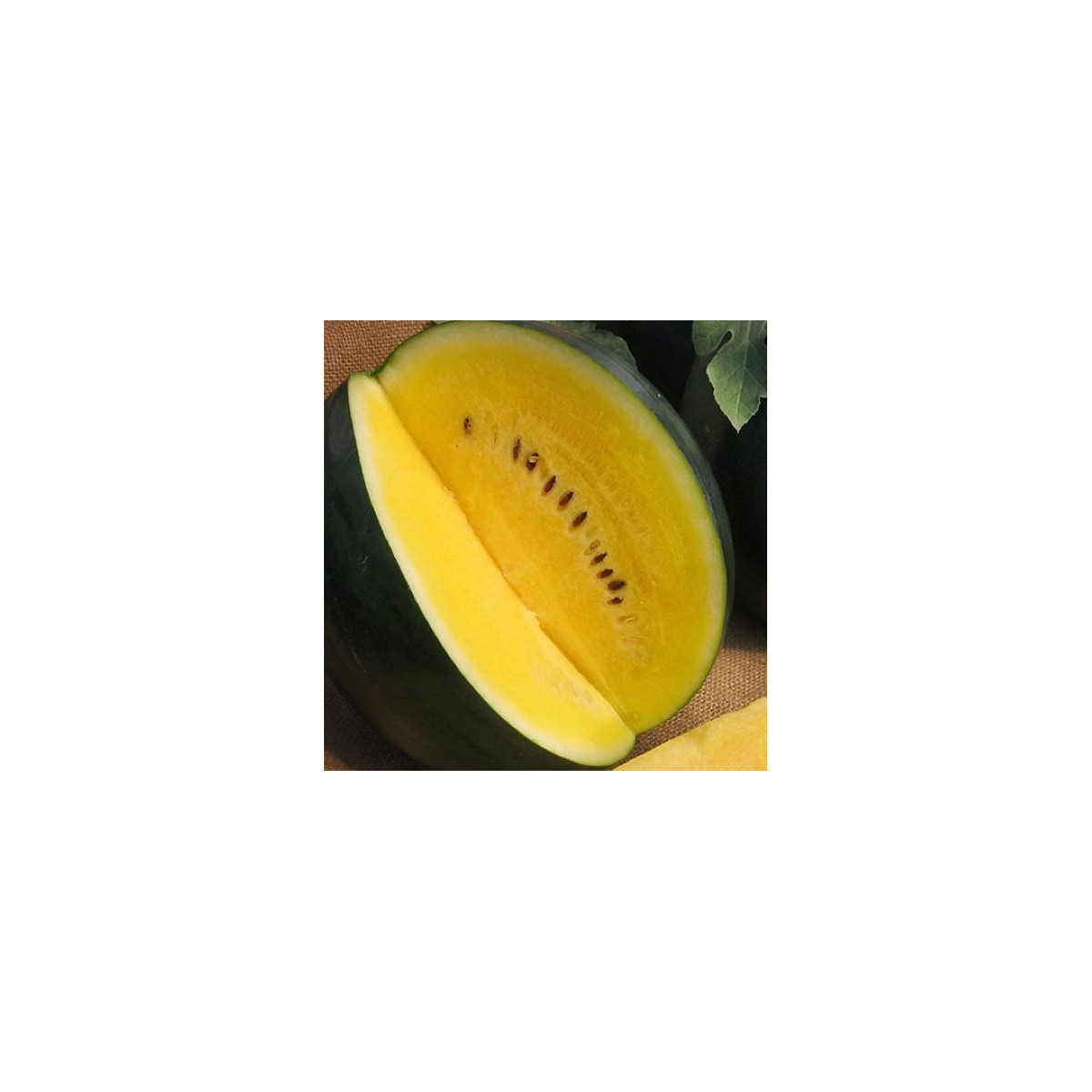 Melón Jánošík - Citrullus lanatus - predaj semien - 6 ks