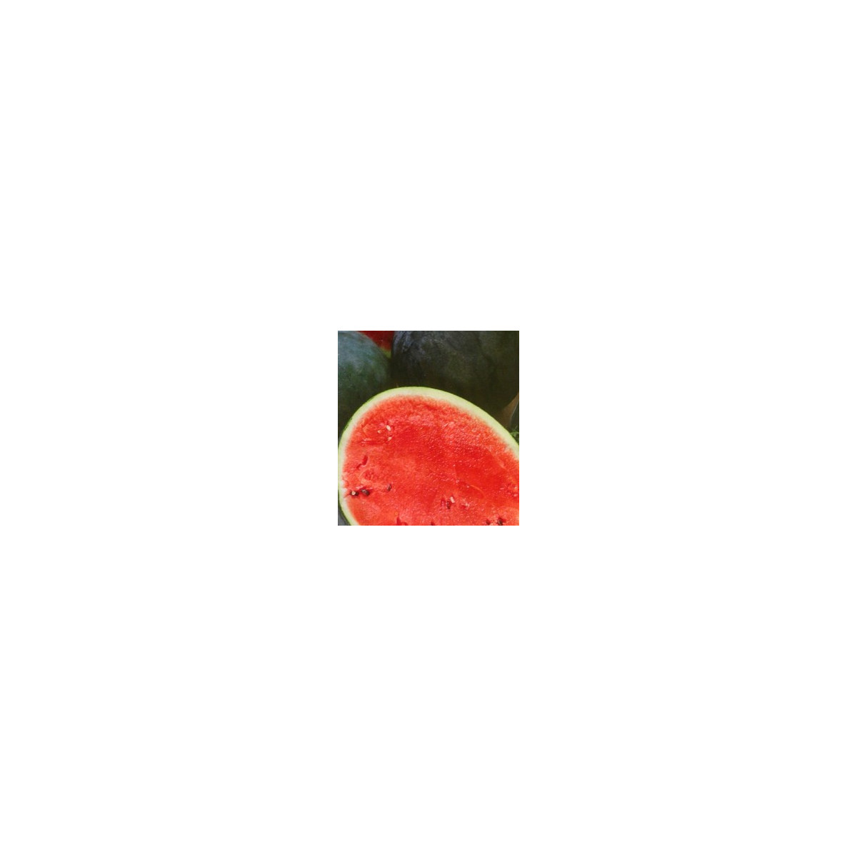 Melón vodný F1 Lajko - Citrullus lanatus - predaj semien - 5 ks