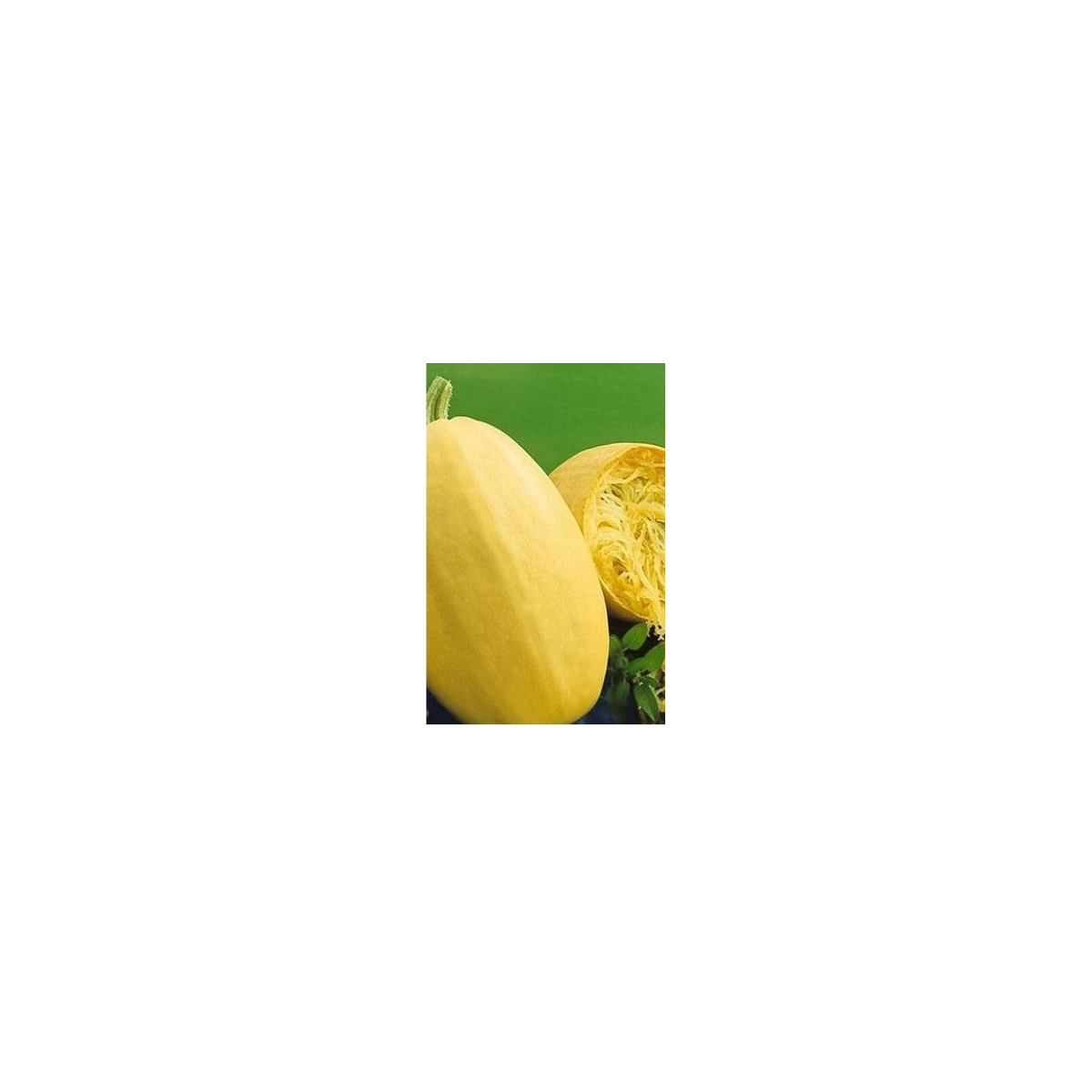 Tekvica špagetová - Cucurbita pepo - predaj semien - 5 ks