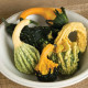 Tekvica Autumn Wings - Cucurbita pepo - predaj semien - 5 ks