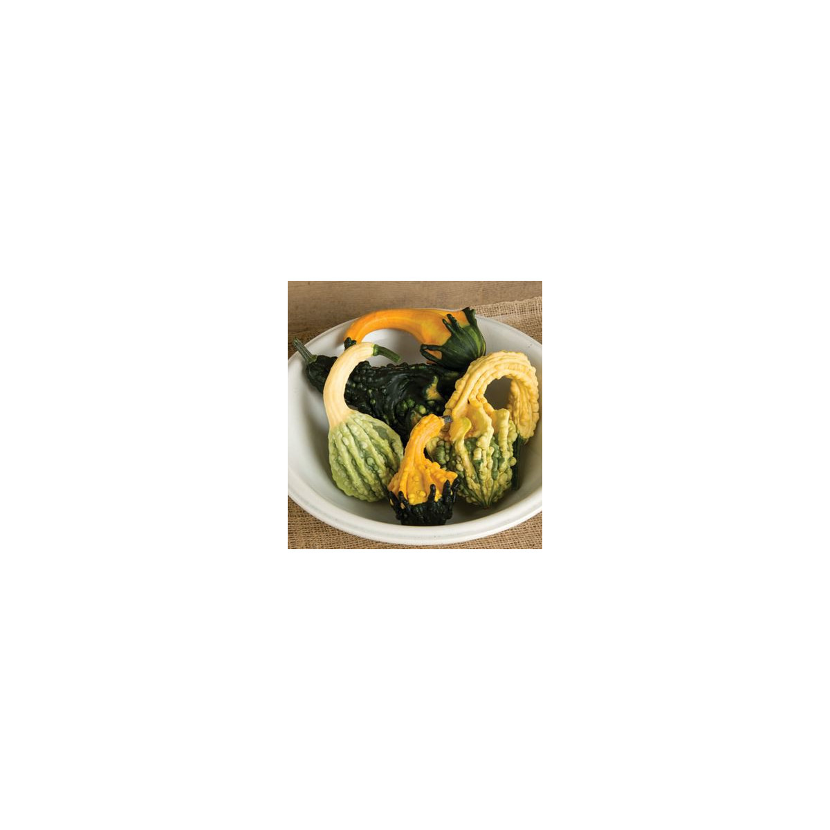 Tekvica Autumn Wings - Cucurbita pepo - predaj semien - 5 ks