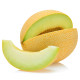 BIO Melón Arava F1 Galia - Cucumis melo - predaj bio semien - 6 ks