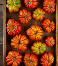 Paradajka Costoluto Fiorentino - Solanum lycopersicum - predaj semien - 7 ks