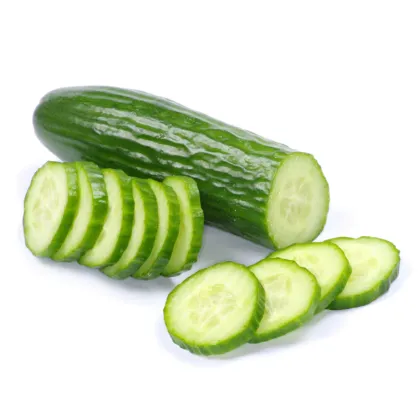 BIO uhorka šalátová Persika - Cucumis sativus - predaj bio semien - 10 ks