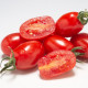 Paradajka Dattored F1 - Solanum lycopersicum - predaj semien - 6 ks
