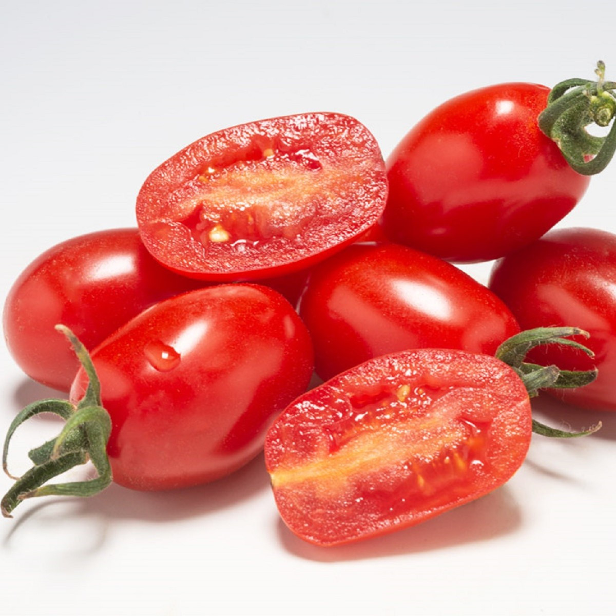 Paradajka Dattored F1 - Solanum lycopersicum - predaj semien - 6 ks