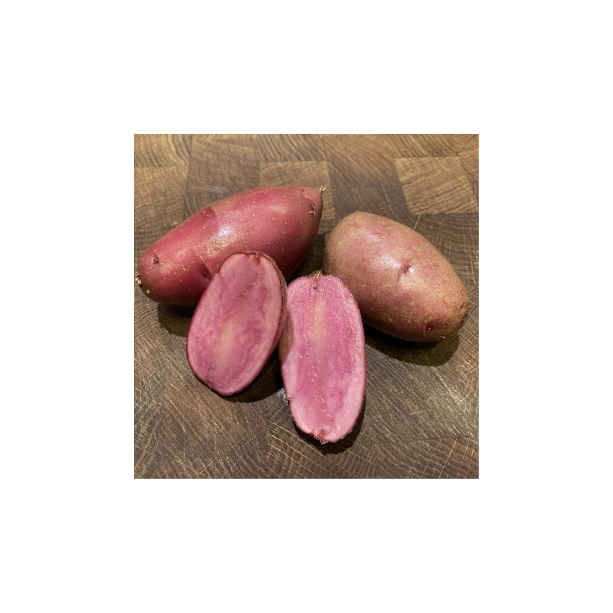 Sadbové zemiaky Heiderot - Solanum tuberosum - predaj sadiva - 5 ks
