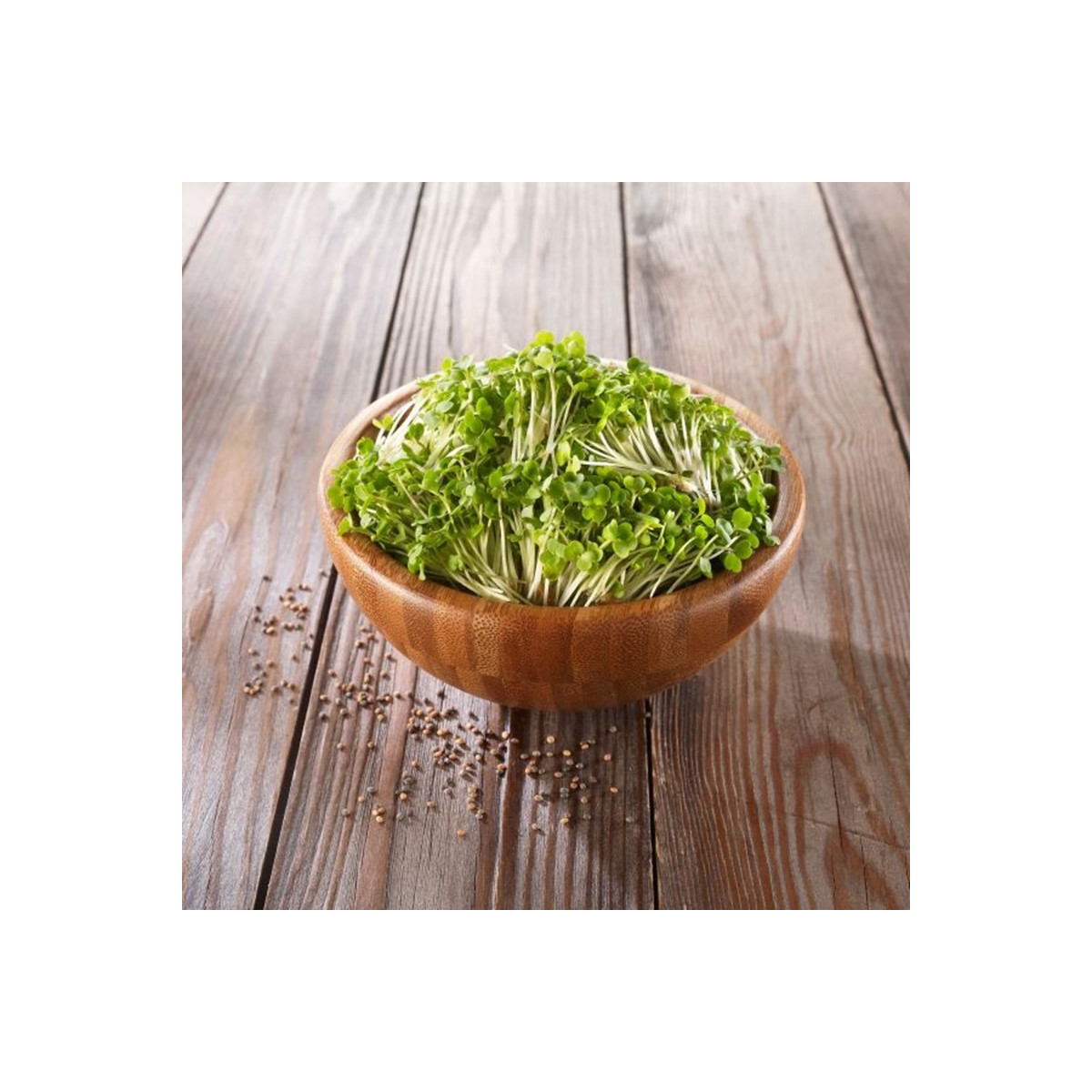 BIO Rukola - predaj bio semien na klíčenie - 50 g