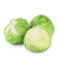 Kapusta
