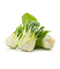 Pak Choi