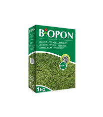 Burina