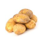 Sadbové zemiaky