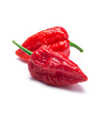 Chilli extra štipľavé