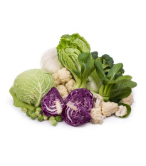 BIO hlúbová zelenina