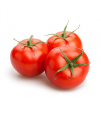 BIO Paradajka