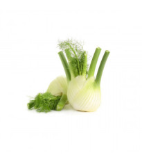 BIO Fenikel