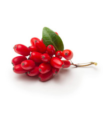 Goji