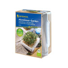 Mikrozelenina - microgreen