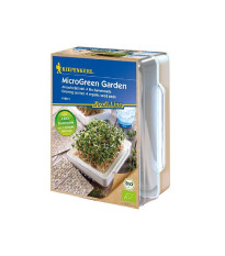 Mikrozelenina - microgreen