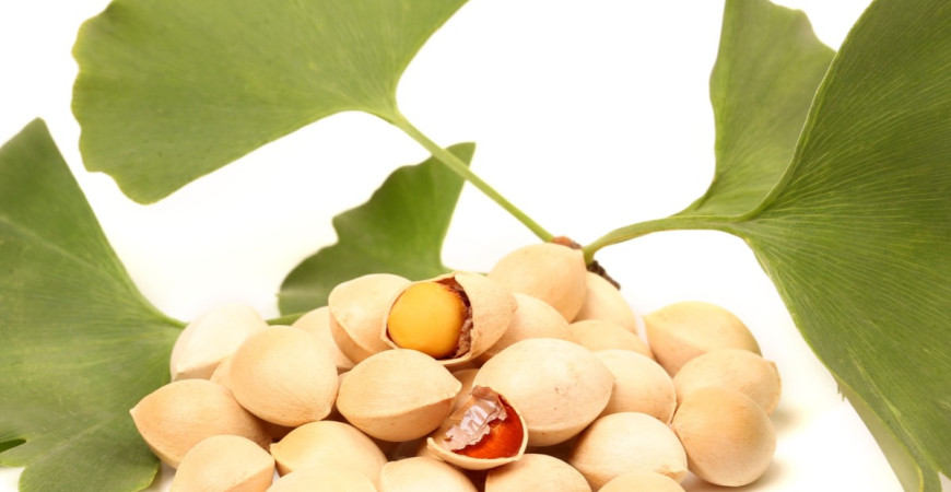 Ginkgo biloba – strom so zázračnými účinkami