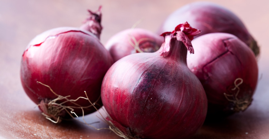Pestovanie cibule zo semien